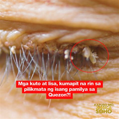 kain pekpek scandal|Pagdila sa ari ng babae .
